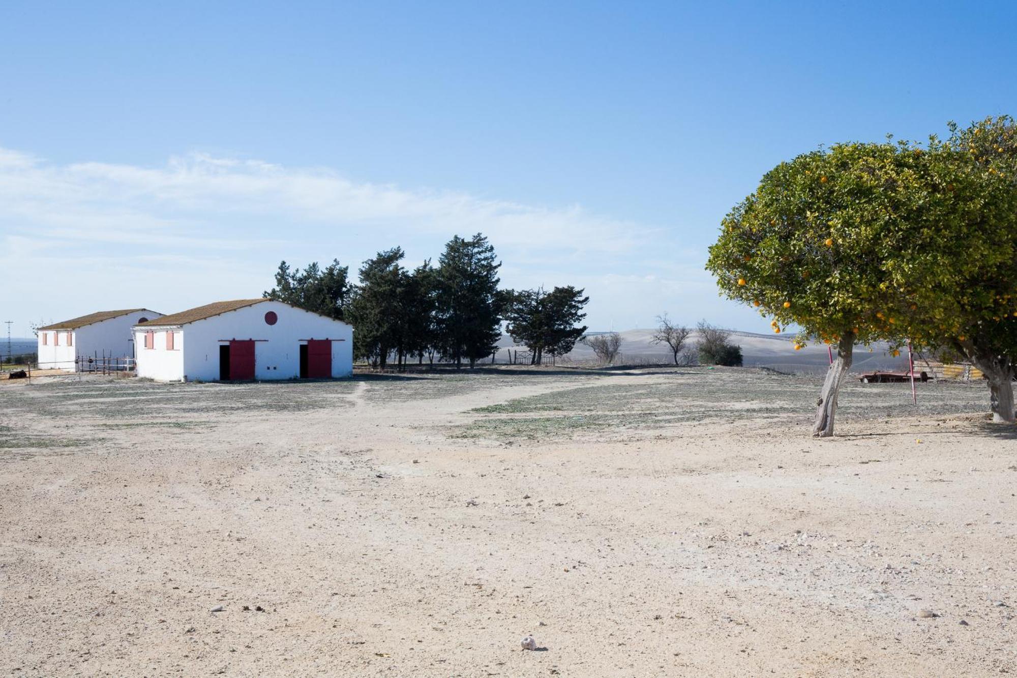 Cortijo Rural La Mariscala Villa Jerez de la Frontera Exterior photo